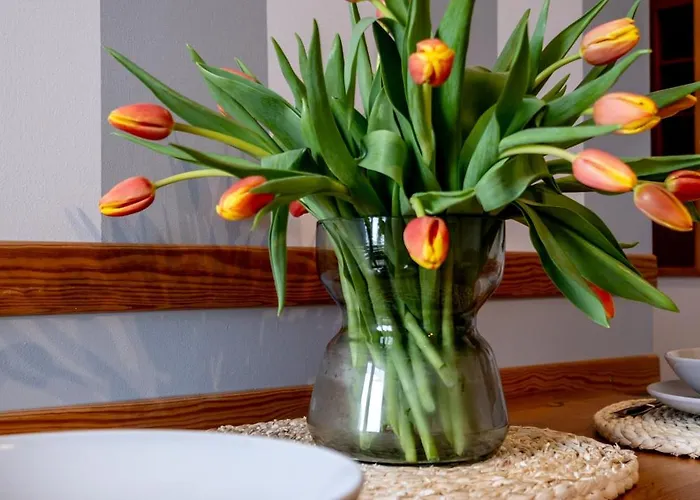 - Gdanska Krynica Morska